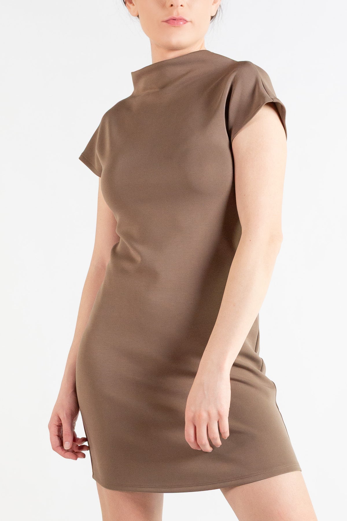 A woman wearing a mushroom short-sleeve mock-neck mini dress, shown from the back against a plain white background.