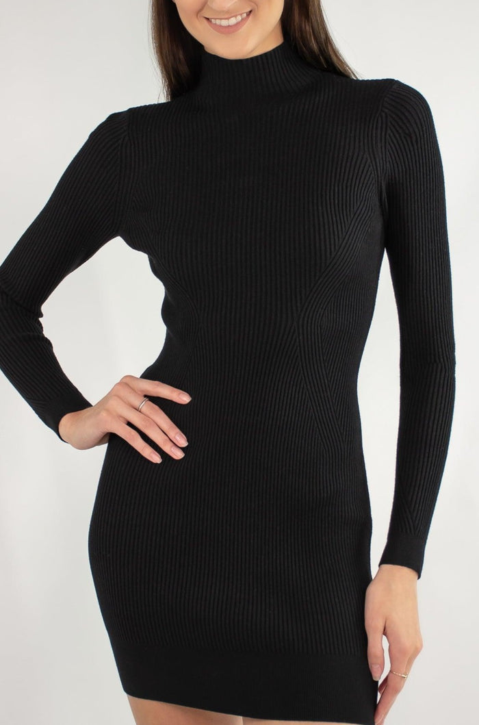 Aspen Turtleneck Mini Dress - Revir